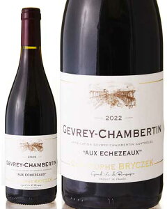 W Vx^ I[ GVF][ [ 2022 ]h[k NXgt u`FbN ( ԃC ) [S]