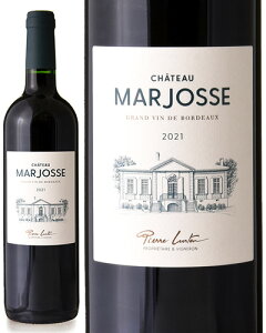 Vg[ }WX [ 2021 ] ( ԃC ) [S]