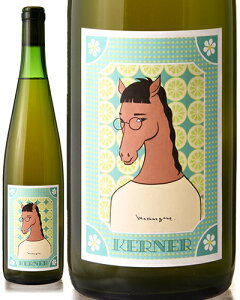 ll3{ Pi[ [ 2024 ]}Kl ( C ) [S]