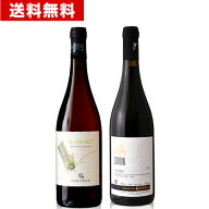 送料無料 バルトロNV（2023／2024）カーゼ コリーニ&オススメ伊計2本セット( 白1 赤1 ) ※お一人様1セッ…