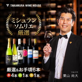 送料無料 第236弾 厳選＆お手頃 6本 ワイン セット (泡1 白1 赤4) 販売実績が物語る！味わいに妥協なし！初心者の方にもオススメ！(追加6本同梱可) 飲み比べ ワインセット [T]