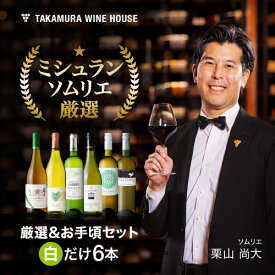 送料無料 第176弾 厳選＆お手頃 6本 白ワイン セット 販売実績が物語る！味わいに妥協なし！初心者の方にもオススメ！(追加6本同梱可) 飲み比べ ワインセット [T]