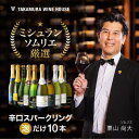 送料無料 第85弾 金賞入り！ 超お値打ち 10本 辛口 スパークリングワイン セット (追加2本同梱可) 飲み比べ デイリー…