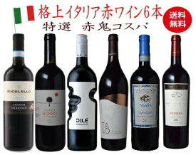 【全品P2倍★本日限り】ワイン セット【送料無料】鬼コスパ プレミアム 6本セット 750ml 6本入 赤 ワインセット コスパ 赤鬼コスパ 飲み比べ 　 　ギフト 母の日 金賞 750ML おすすめ