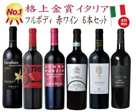 【全品最大P10倍★本日限り】ワインセット 送料無料 ソムリエ厳選イタリア赤ワイン 6本 飲み比べ 赤ワインセット プレゼント ワイン 赤ワイン 750ML 　　ギフト 母の日 金賞 750ML おすすめ