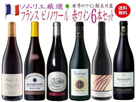 【全品最大P10倍★本日限り】　ピノ好き集合 銘醸地のピノ飲み比べ！ピノノワール6本セット 送料無料 ピノ・ノワール 赤 赤ワイン ワインセット　　ギフト 母の日 金賞 750ML おすすめ