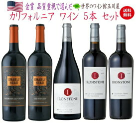 【全品P2倍★本日限り】　【送料無料】ワインセット カリフォルニア 赤ワイン 5本セット カベルネ・ソーヴィニヨン メルロー　他 ソムリエ 厳選　　　ギフト 父の日 金賞 750ML おすすめ