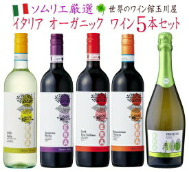 【全品P2倍★本日限り】　ワイン ワインセット【送料無料】ナチュール ワイン セット 飲み比べセット 　　ギフト 父の日 金賞 750ML おすすめ