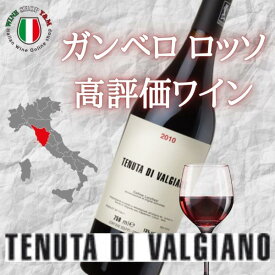 バックヴィンテージ 赤ワイン 熟成 テヌータ ディ ヴァルジャーノ 2011 イタリア トスカーナ 高評価 フルボディ 贈答品 プレゼント お祝い