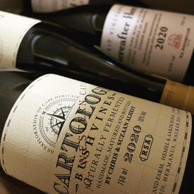 2020 カルトロジー 生産者アルヘイトヴィンヤード 【南アフリカ】【白ワイン】