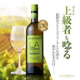 ハリウッドスター御用達ワイナリーが造るデイリーワインの決定版！ドメーヌ・アラン・ブリュモン ガスコーニュ ブラン [2022] 750ml 送料無料　フランス　白ワイン　辛口　グロ・マンサン　ソーヴィニヨン・ブラン　お祝い　ギフト