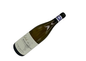 WECEV[EZNV / N[YEG~^[WEVx [2022]yCz