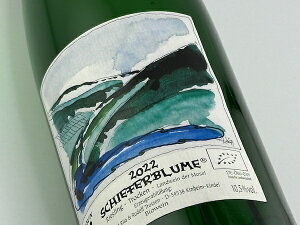 ^EEgEhtEgbZ / V[t@[u[@[XOEgbP [2022]yCz