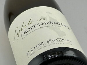 WECEV[EZNV / N[YEG~^[WEVx [2023]yCz