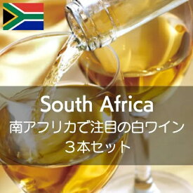 南アフリカで注目の白ワインを知る【ワインセット】