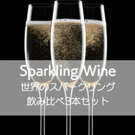 世界のスパークリングワイン飲み比べ3本セット【ワインセット】