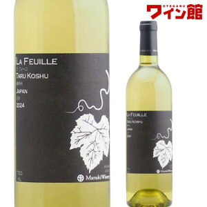 EtB[ MbB[2024] ܂邫 R bB C RC ܎ h