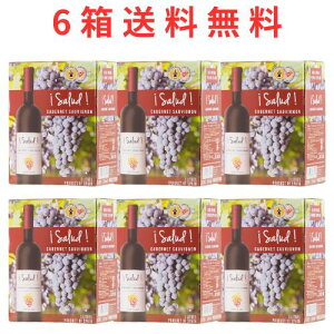 yBOXǂ6őzԁT[ JxlE\[Bj obOC{bNX 3,000ml {bNXC C boxC BOXC BBQ o[xL[ XyC 3L ԃC C