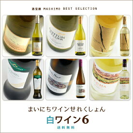 酒宝庫MASHIMO　ベストコレクション6本入　《白》　ワインセット送料無料/