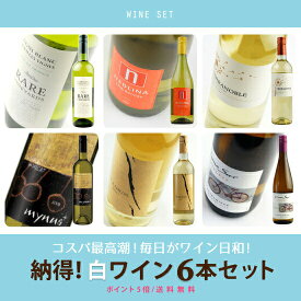 ポイント5倍!/　酒宝庫MASHIMO　“世界まる呑み”　納得!　白ワイン6本セット　送料無料/