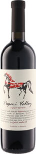 ���p�p�� ���@���[ �X���[ �N���F���� �e���X�Y �T�y�����B No 19 [2023] 750ml ��Papari Valley 3 Qvevri Terraces Saperavi No.19