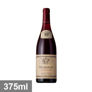 ���C �W���h �u���S�[�j�� �s�m �m���[�� [2023] 375ml �� Bourgogne Pinot Noir