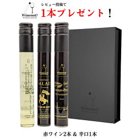 【レビュー投稿で1本プレゼント】ワイン ギフト ミニボトル 詰め合わせ 赤2本 白1本 飲み比べ セット おしゃれ 箱付き 父の日 誕生日 プレゼント お祝い フランス 辛口 ボルドー 金賞 ビオワイン Winenot? スキュラン01 送料無料