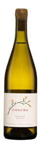 【2019】ボデガ チャクラ チャクラ シャルドネBODEGA CHACRA CHACRA CHARDONNAY