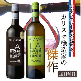 お中元 御中元 夏ギフト ワイン ワインセット 送料無料 赤白 紅白 2本 御祝 お誕生日 誕生日 お誕生日プレゼント 誕生日プレゼント