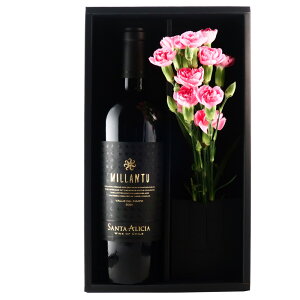 Ε  Mtg C  C ԃZbg  a a av[g av[g j j