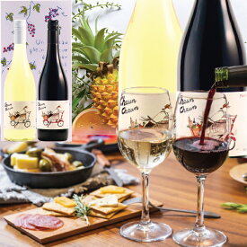 ＼200円クーポン有／バレンタイン 早割 バレンタインギフト ワイン 赤ワイン 白ワイン フランス ワインセット 赤白 紅白 2本 送料無料 御祝 お誕生日 誕生日 お誕生日プレゼント 誕生日プレゼント