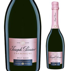 ���������W���Z�t �y���G �L�����F �����C�������[ ���j�� �M�t�g �l�^A �v���[���g �M�t�g �p�[�e�B�[ �N���X�}�X ���K�i