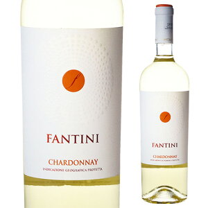 t@eB[j Vhl t@l[[ 750ml C^A AubcH h Vhl C S Mtgv[g Mtg p[eB[ NX}X