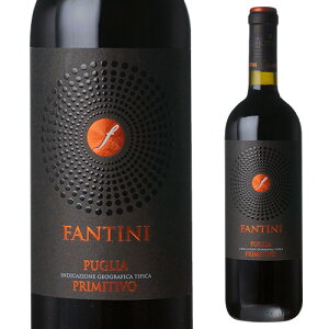 t@eB[j@v~eB[H t@l[[ 750ml C^A@AubcH@~fBA{fB@v~eB[H@h@ ԃC S Mtgv[g Mtg p[eB[ NX}