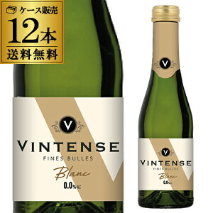 1{480~(ō) BeX Xp[NO u ~j 200ml 12{mAR[ AR[t[ ܂Ƃߔ h P[X S j Mtg v[g Mtg p[eB