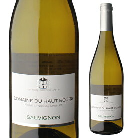 ソーヴィニヨン ヴァル ド ロワール [2023]ドメーヌ デュ オー ブール 750mlフランス 辛口 ソーヴィニヨンブラン 白ワイン 浜運A ギフトプレゼント ギフト パーティー 新年会 手土産 持ち寄り バレンタイン