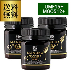}kJnj[ UMF15{ MGO512{ 250g×3 }kJ v~Anj[ UMF15 MGO Mtg MANUKA HONEY ݂͂ I n`~c M _ S j Mtg hV̓ v[g Mtg p[