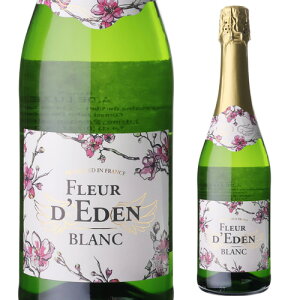 t[ Gf u 750mltX Ì A Xp[NOC IV AWG[ AR[ 6 S j Mtg v[g Mtg p[eB[ NX}X