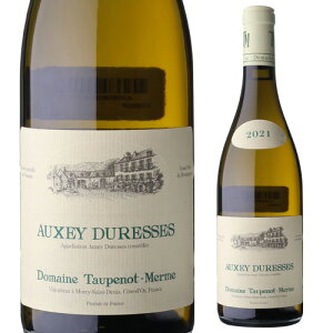 I[NZC fX u 2021gvm  750mlKi tX uS[jR[g h {[k ʓ׃uS[j 󏭃C h C l^A v[g Mtg p[eB[ N