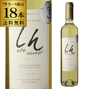 yő5,000~OFFN[|z1{1,100~(ō)  Ch~^ Cgn[xXg [2024] 500 ml 18{` JTuJ@[ P[X S v[g Mtg p[eB[ NX}X12/11