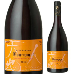 uS[j [W [2022][ f 750mlKitX uS[j {l cWi h ԃC l^v[g Mtg p[eB[ NX}X