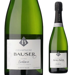 {[[LF ubg GNZX [NV] Ȃ RM 750ml R[g f o[ Vp[j@h Vp l^A