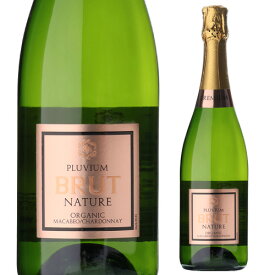 【ワインの日 1,000円OFFクーポン】プルビウム ブリュット ナチュレ オーガニック ヴィセンテ ガンディア 750mlスペイン マカベオ シャルドネ 白泡 辛口 スパークリング 浜運A1/20 23:59　まで