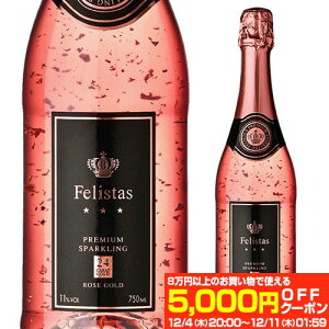 yő5,000~OFFN[|ztFX^X [ S[h Xp[NOC 750ml hCc [Ng h  Xp[NOC Sv[g Mtg p[eB[ NX}X12/1