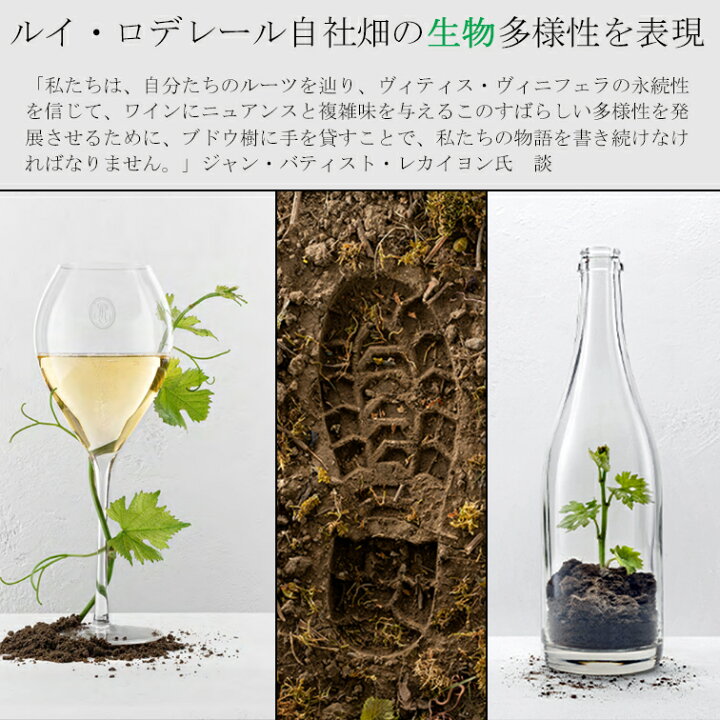 楽天市場】ルイ ロデレール コレクション 244 正規品LOUIS ROEDERER 