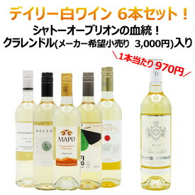 【6本セット】デイリーワイン 白 セット 750ml 飲み比べ お得 福袋 ワインセット クラレンドル