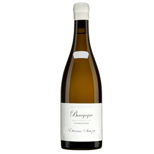 yGg[Ń|Cg10{zGeBGk \[ uS[j u 2020 C tX uS[j ETIENNE SAUZET Bourgogne Blanc 750ml C 蕨 Mtg a v[g