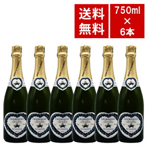 �y�������� 6�{�Z�b�g�z�A���� �h ���H�[�W�����V�[ �O���� �N���� �L�����F �f �U�����[ �u���� �h �u���� �u�����b�g ���C���Z�b�gHenry de Vaugency Champagne Oger Grand Cru Cuvee des Amoureux