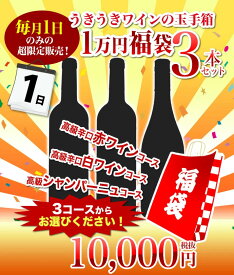 毎月1日のみの超限定販売！うきうきワインの玉手箱渾身1万円福袋！辛口赤コース 辛口白コース 辛口シャンパーニュコースの3種類販売 ワインセット 赤ワイン 白ワイン シャンパーニュ スパークリング 泡