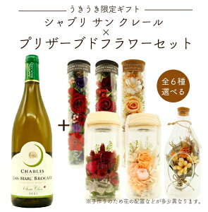 yMtgzVu T N[ h[k W }N uJ[ h[k T N[Iׂ vU[uht[Zbg  t[ Mtg v[g 蕨 a